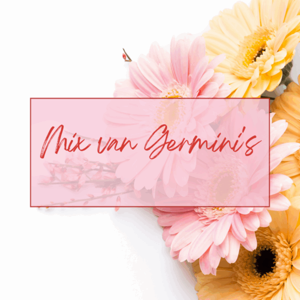 Mix van Germini's