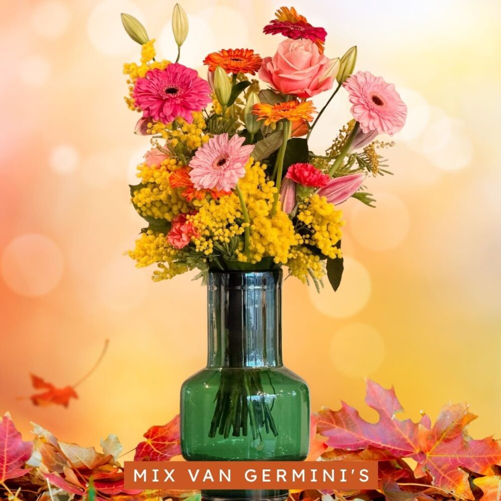 Kleurrijke mix van germini's in vaas