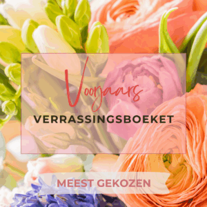 Verrassingsboeket Bloemboetiek Schijndel