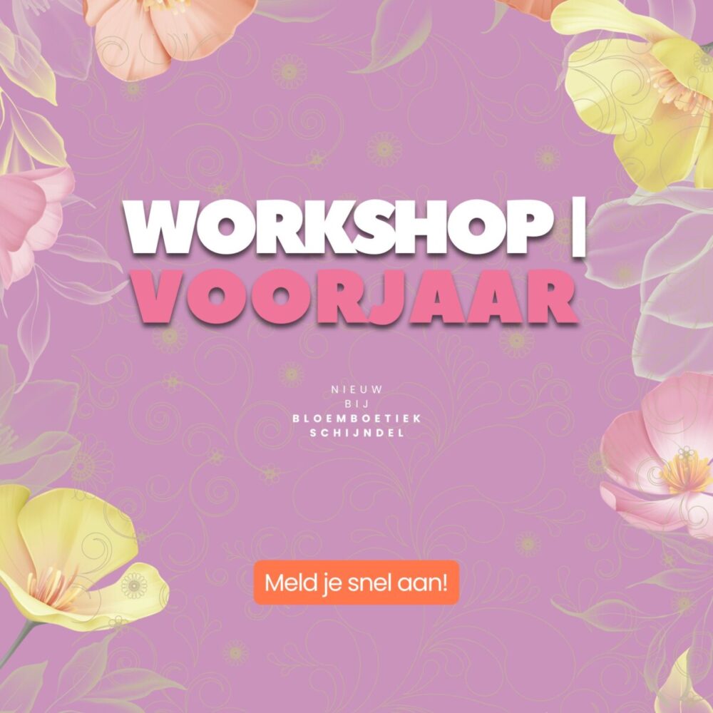 Workshop voorjaar
