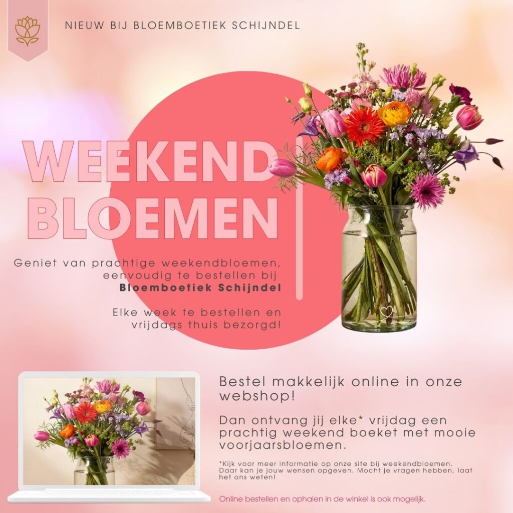 weekend bloemen van Bloemboetiek Schijndel. Geniet van prachtige weekendbloemen, eenvoudig te bestellen bij Bloemboetiek Schijndel Elke week te bestellen en vrijdags thuis bezorgd!