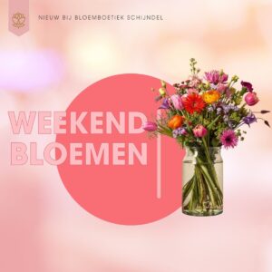 weekend bloemen van Bloemboetiek Schijndel. Geniet van prachtige weekendbloemen, eenvoudig te bestellen bij Bloemboetiek Schijndel Elke week te bestellen en vrijdags thuis bezorgd!