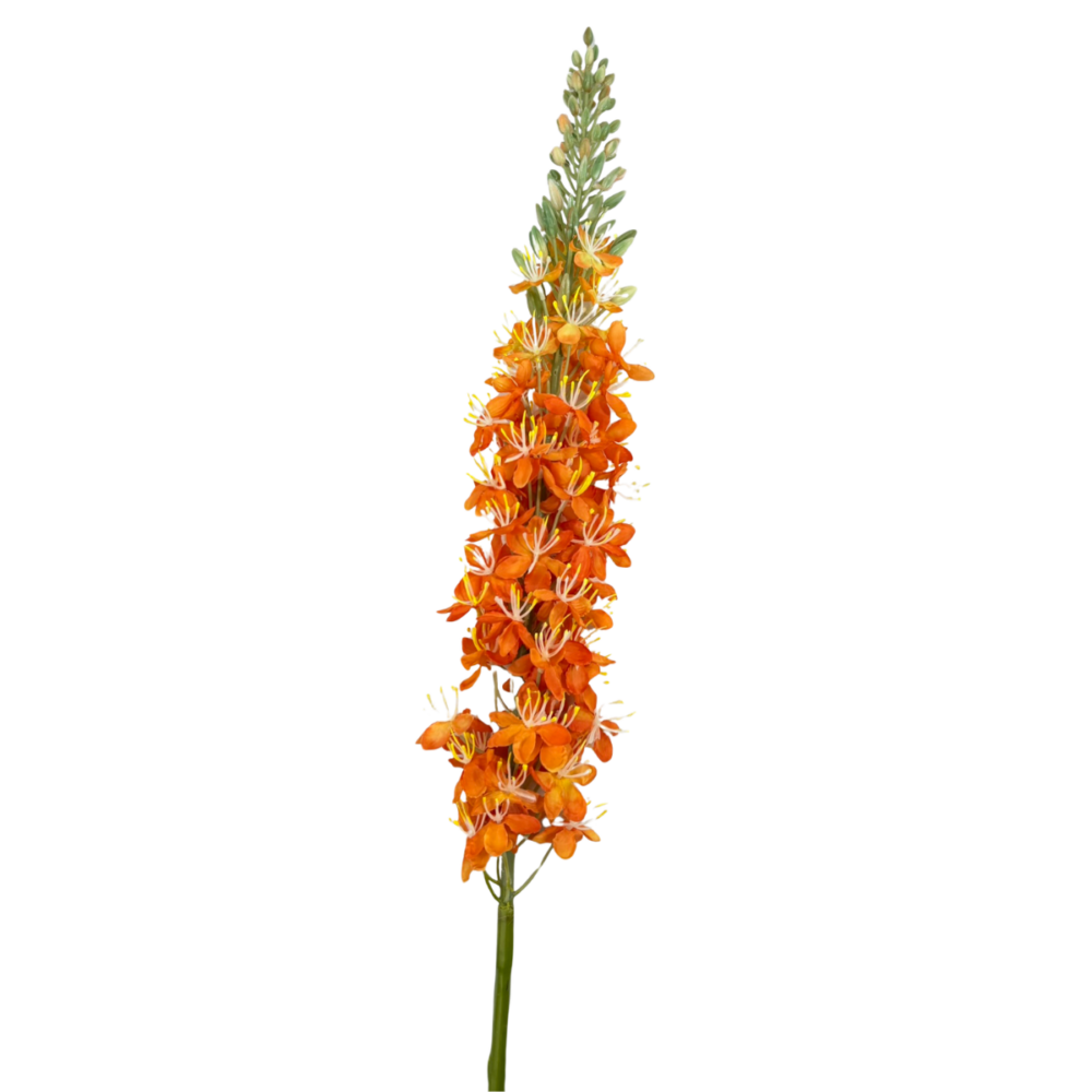 Zijden Naald van Cleopatra Oranje | 106 cm - Afbeelding 2
