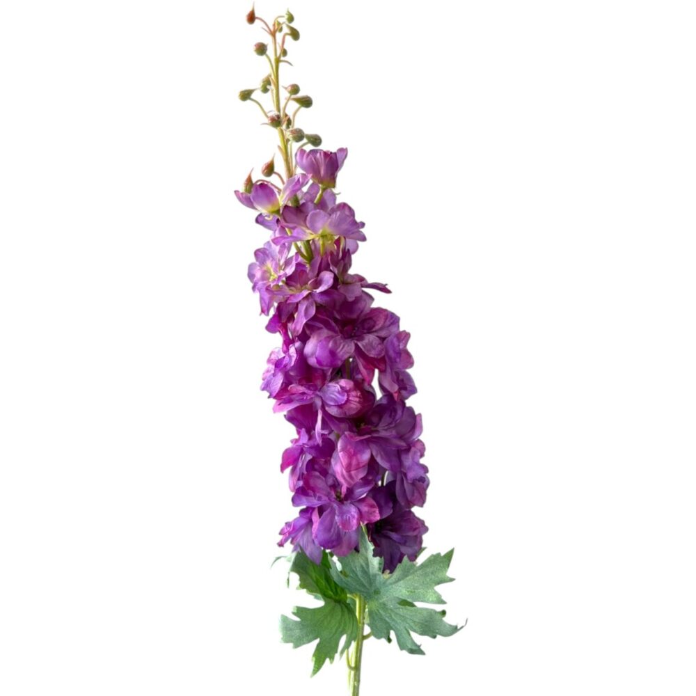 Delphinium Paars
