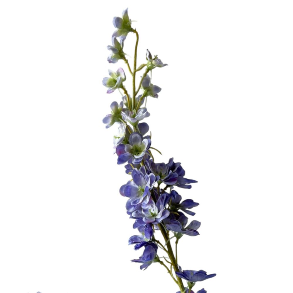 Delphinium paars