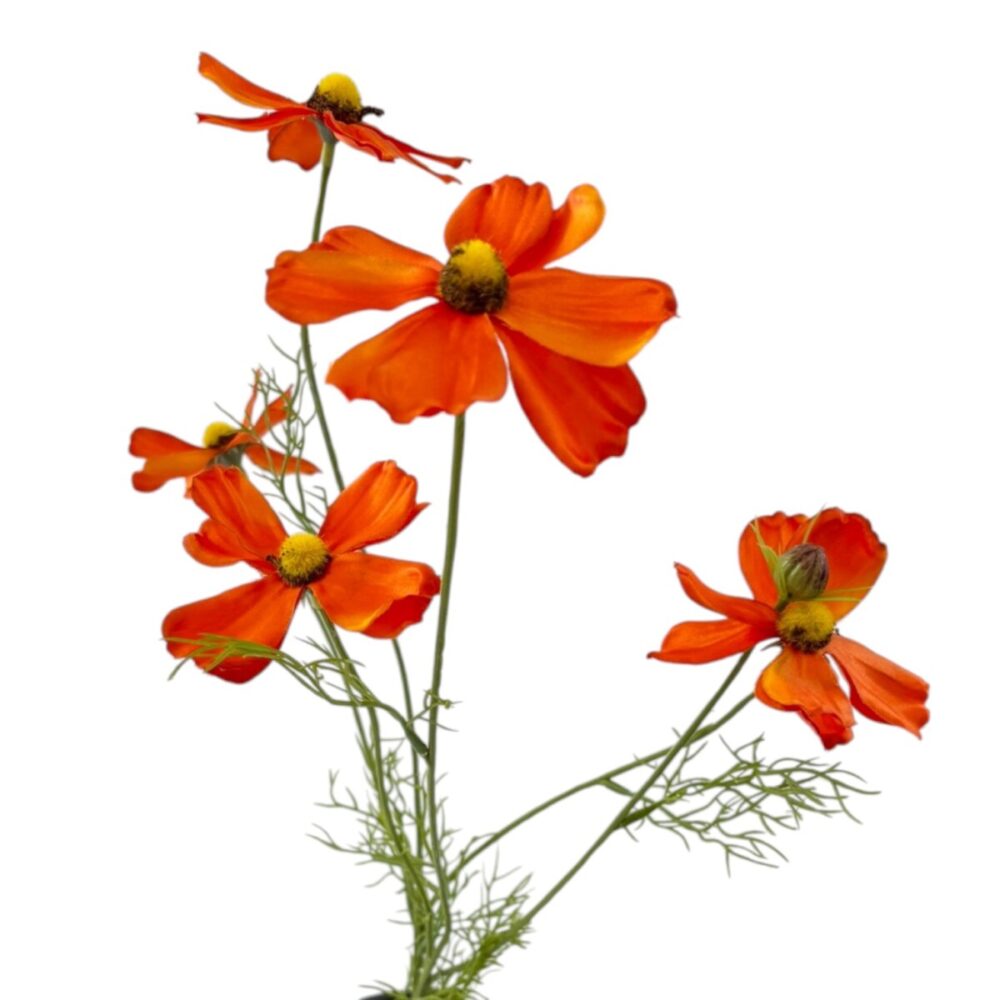 Zijden Cosmea Oranje | 78 cm - Afbeelding 4