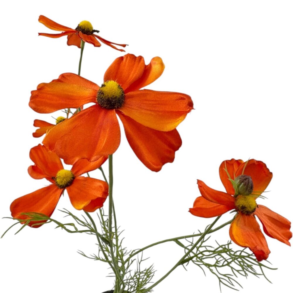Zijden Cosmea Oranje | 78 cm - Afbeelding 3