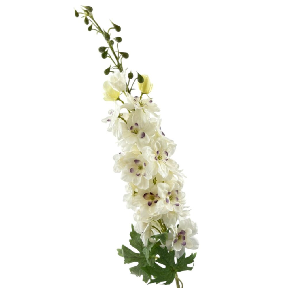 Delphinium wit
