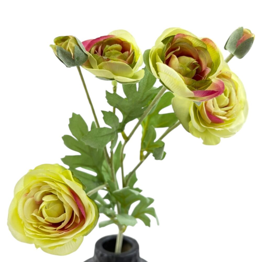 Zijden Ranonkel Crème | 66 cm - Afbeelding 7