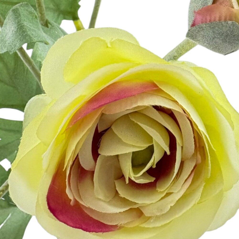 Zijden Ranonkel Crème | 66 cm - Afbeelding 8