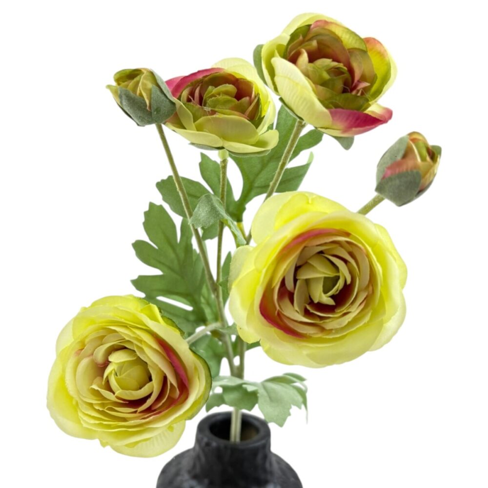 Zijden Ranonkel Crème | 66 cm - Afbeelding 6