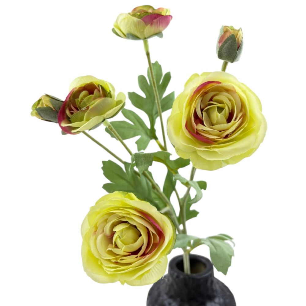 Zijden Ranonkel Crème | 66 cm - Afbeelding 5