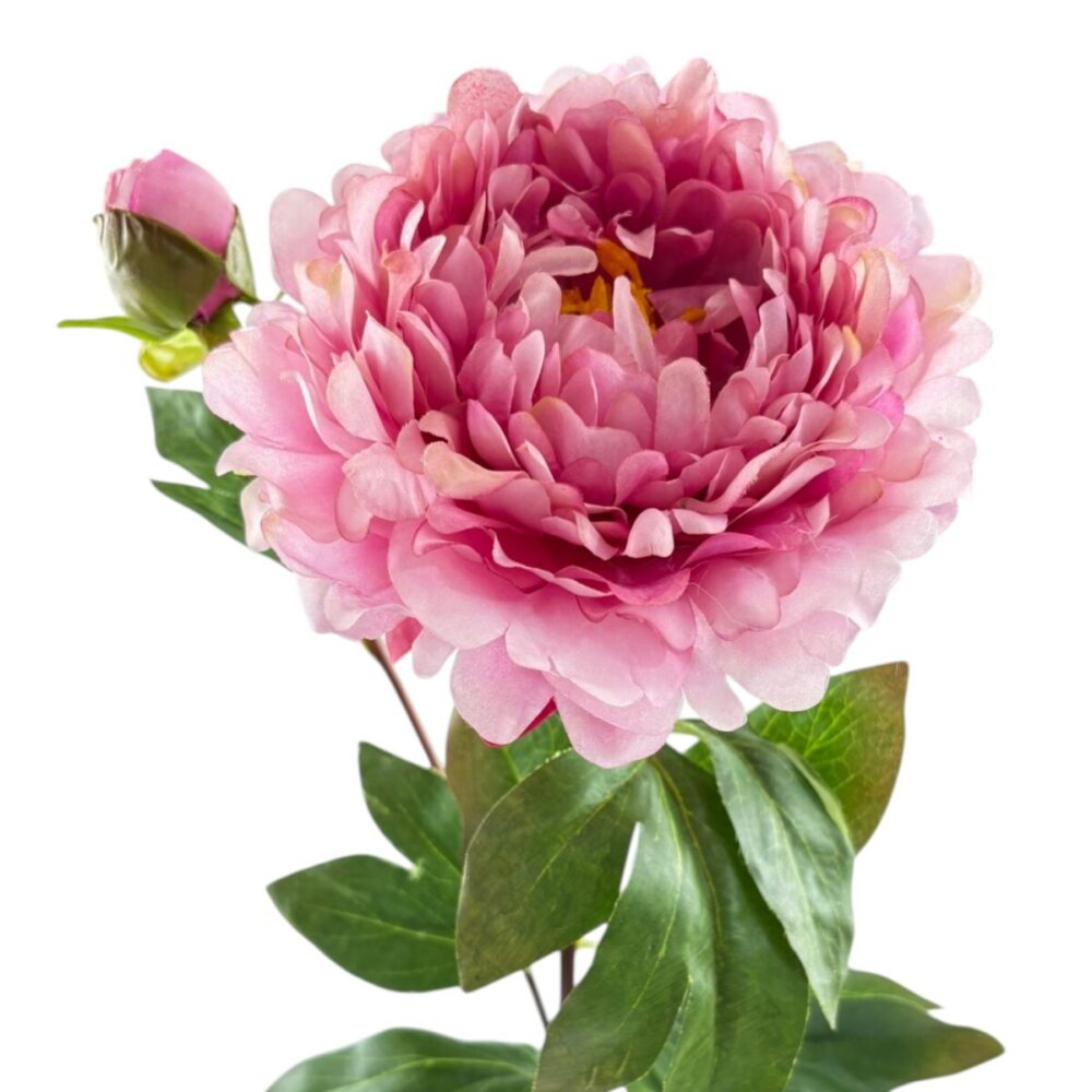 Zijden Pioenroos Donkerroze | 82 cm - Afbeelding 2