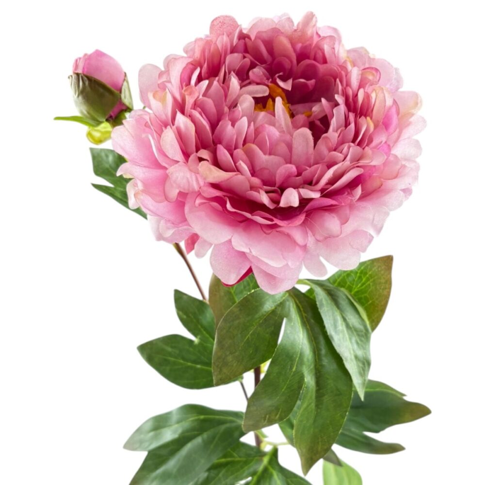 Zijden Pioenroos Donkerroze | 82 cm - Afbeelding 3