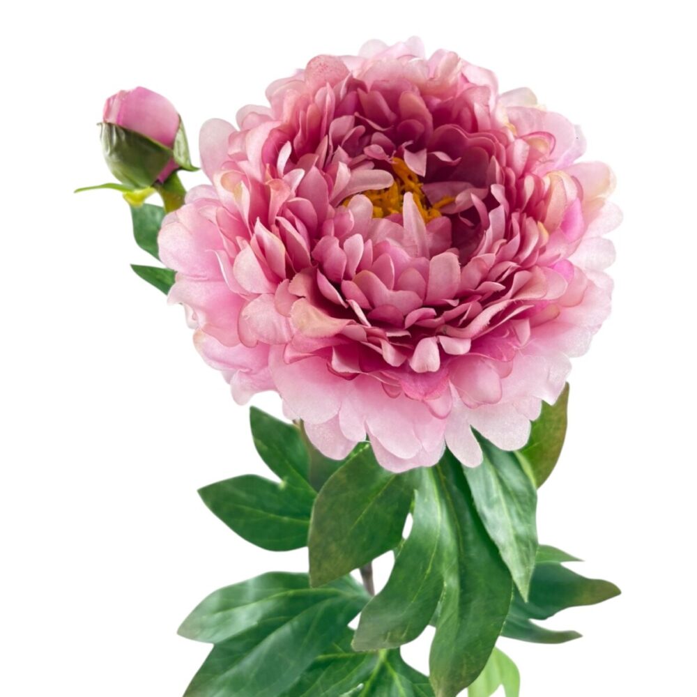 Zijden Pioenroos Donkerroze | 82 cm - Afbeelding 4