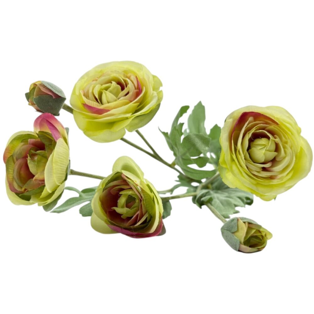 Zijden Ranonkel Crème | 66 cm - Afbeelding 2