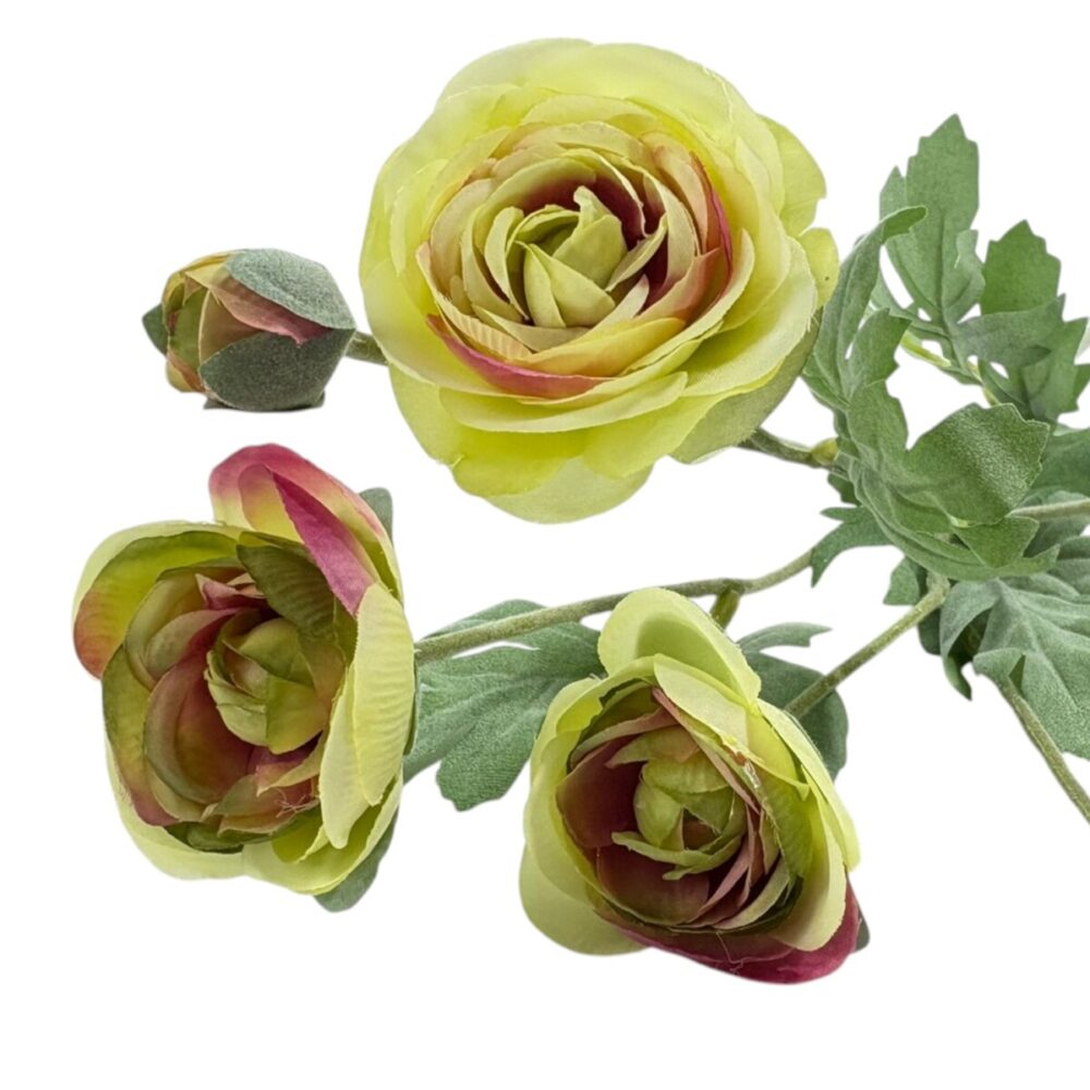 Zijden Ranonkel Crème | 66 cm - Afbeelding 4