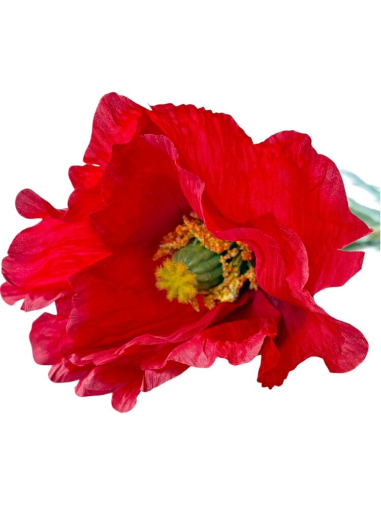 L23528-RD Poppy 1