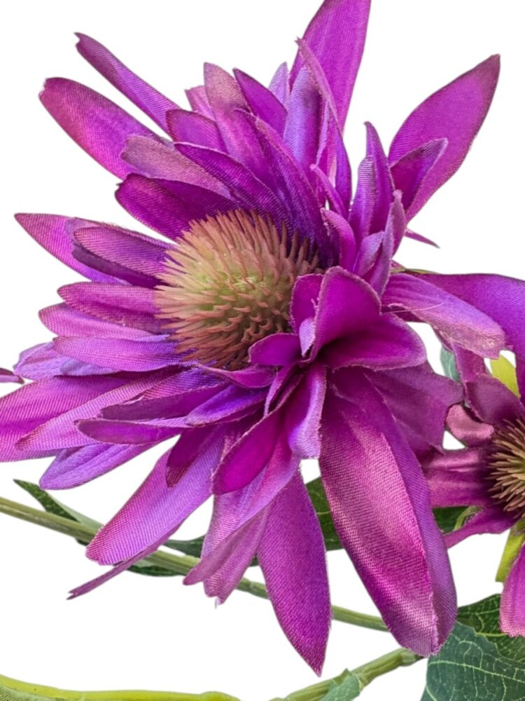 Chrysant - paars - 73 cm - Afbeelding 6