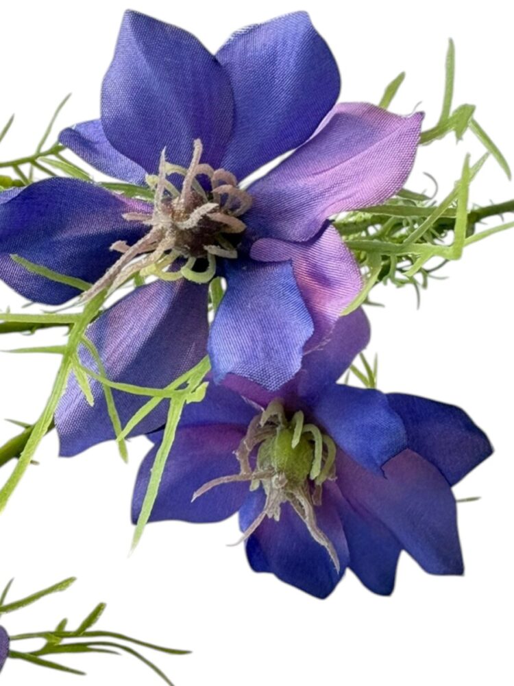 Cosmos - paars - 57 cm - Afbeelding 4