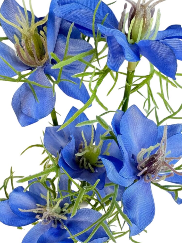 Cosmos - blauw - 57 cm - Afbeelding 4