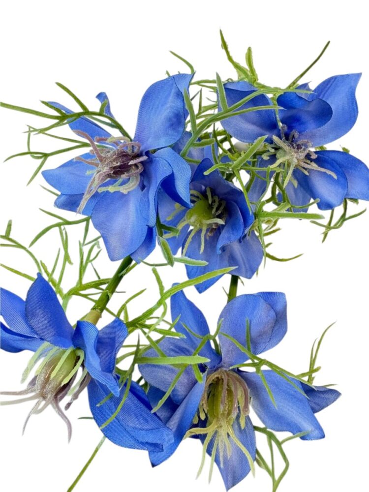 Cosmos - blauw - 57 cm - Afbeelding 2