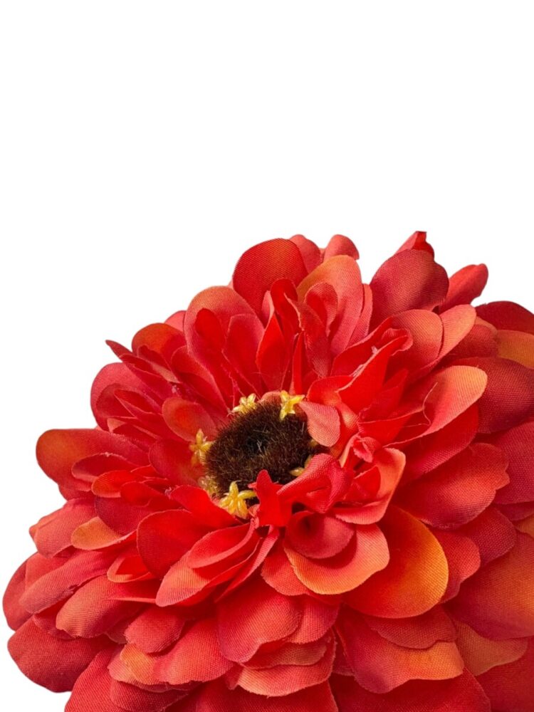 Zinnia - oranje - 68 cm - Afbeelding 7