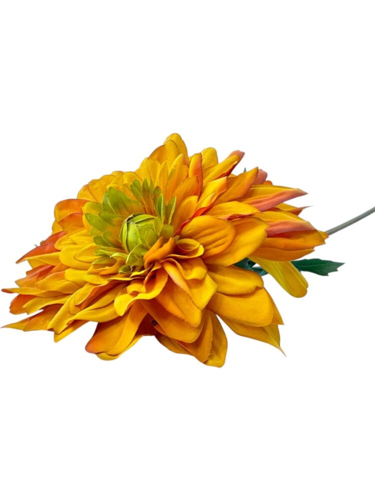 Dahlia - geel - 90 cm - Afbeelding 4