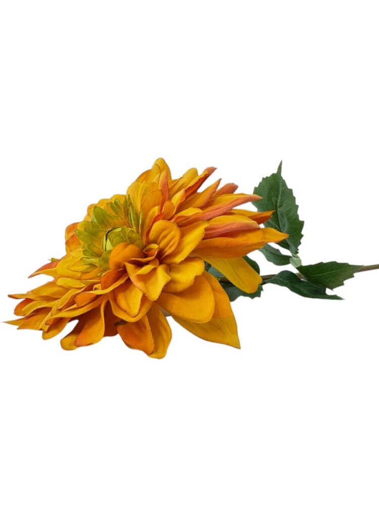 Dahlia - geel - 90 cm - Afbeelding 3