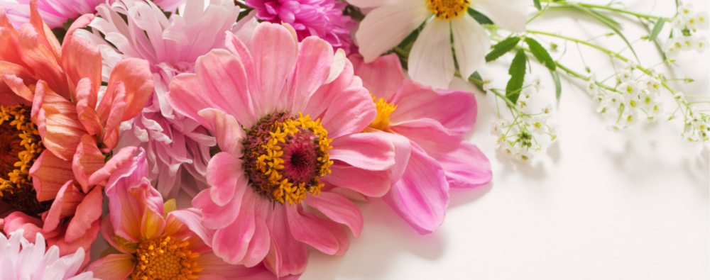 Kleurrijke bloemen voor speciale bloemendagen bij Bloemboetiek