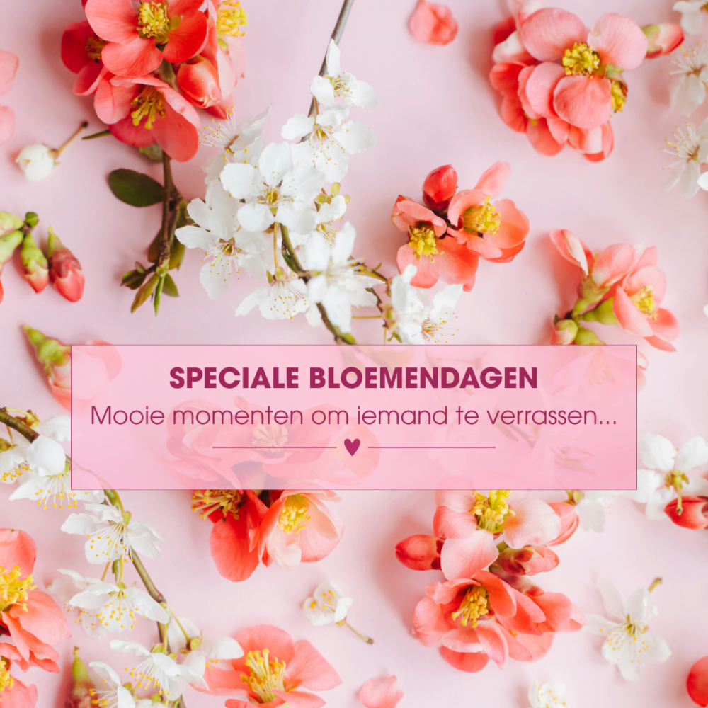 Kleurrijke bloemen voor speciale bloemendagen bij Bloemboetiek